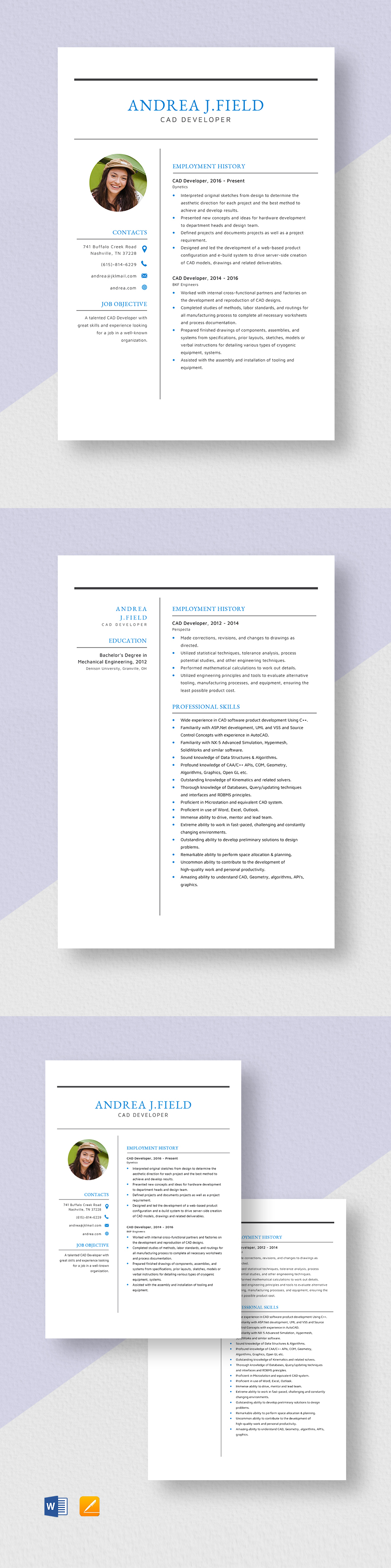 cad-developer-resume-template-word-apple-pages-template