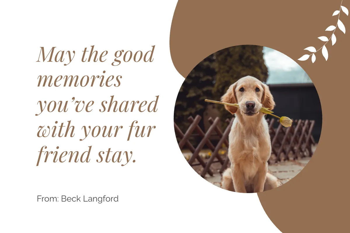 Free Printable Loss of Pet Card Template to Edit Online