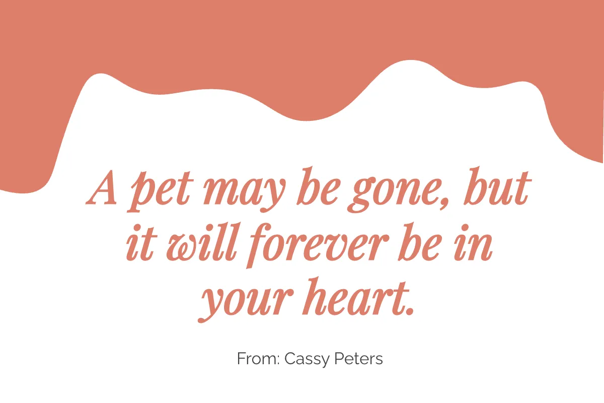 Free Modern Loss of Pet Card Template to Edit Online