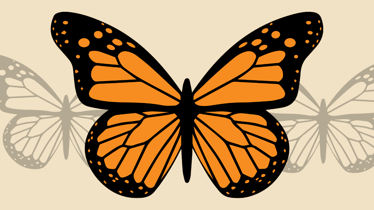 Free Butterfly Desktop Background Template