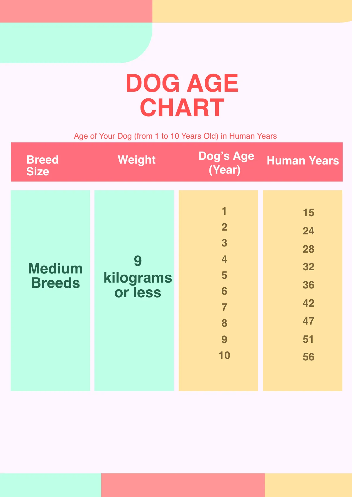 Free Dog Age Chart Template to Edit Online