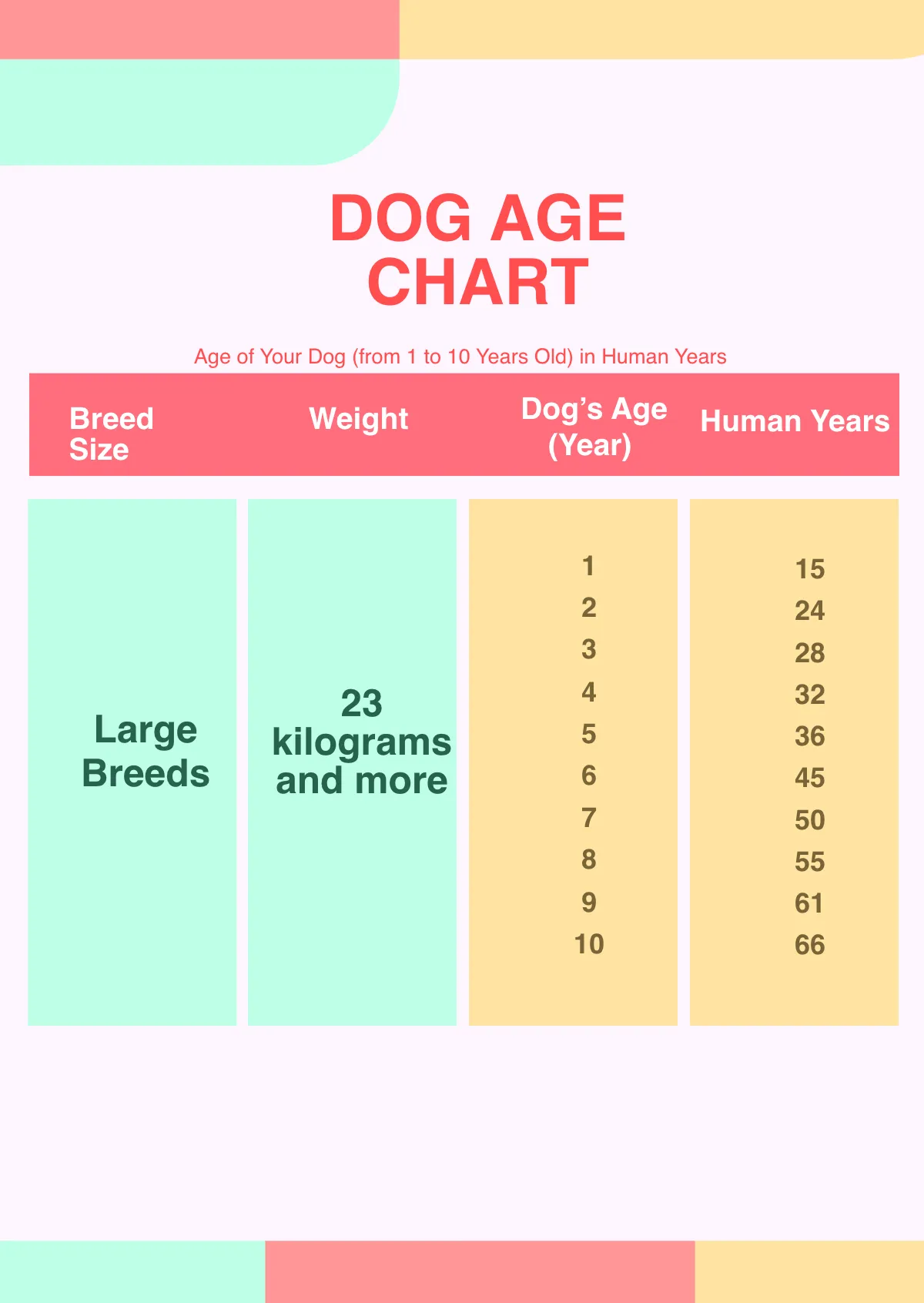 Free Dog Age Chart Template to Edit Online