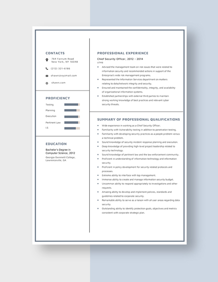 Chief Security Officer Resume Template