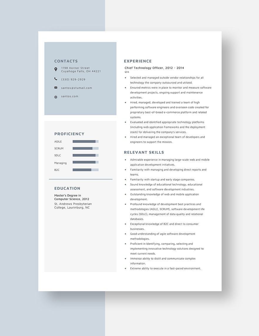 Chief Technology Officer Resume