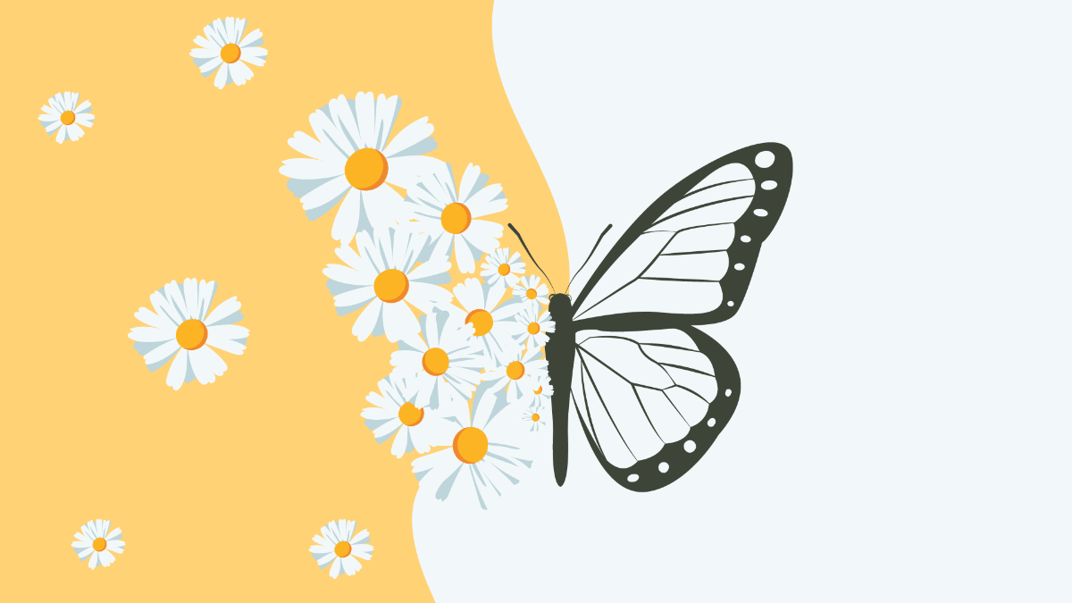 Free Daisy Butterfly Background Template