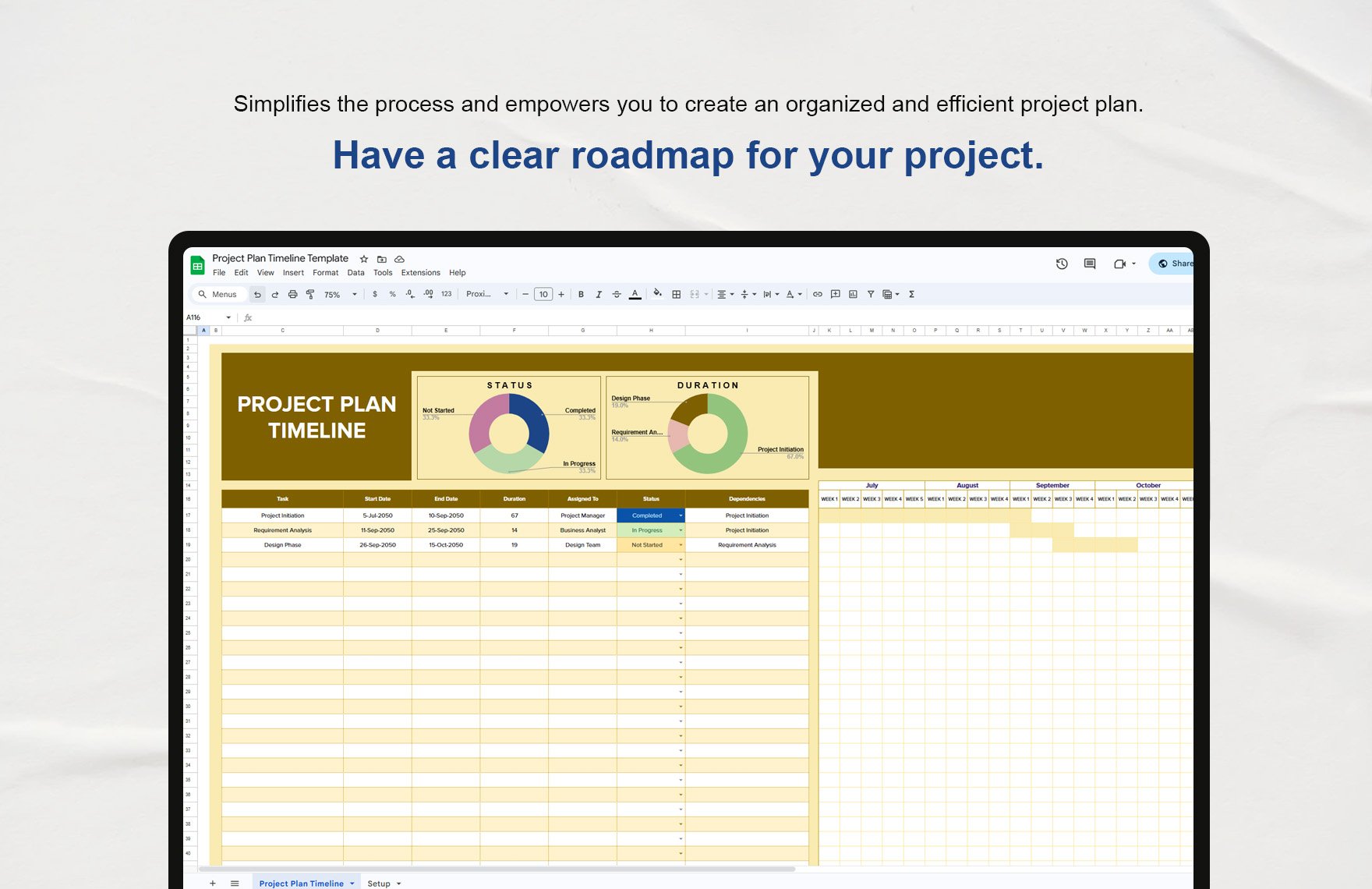 Project Plan Timeline Template