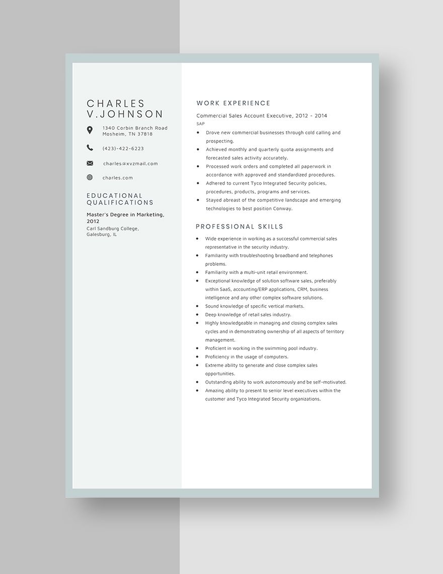 Commercial Sales Account Executive Resume