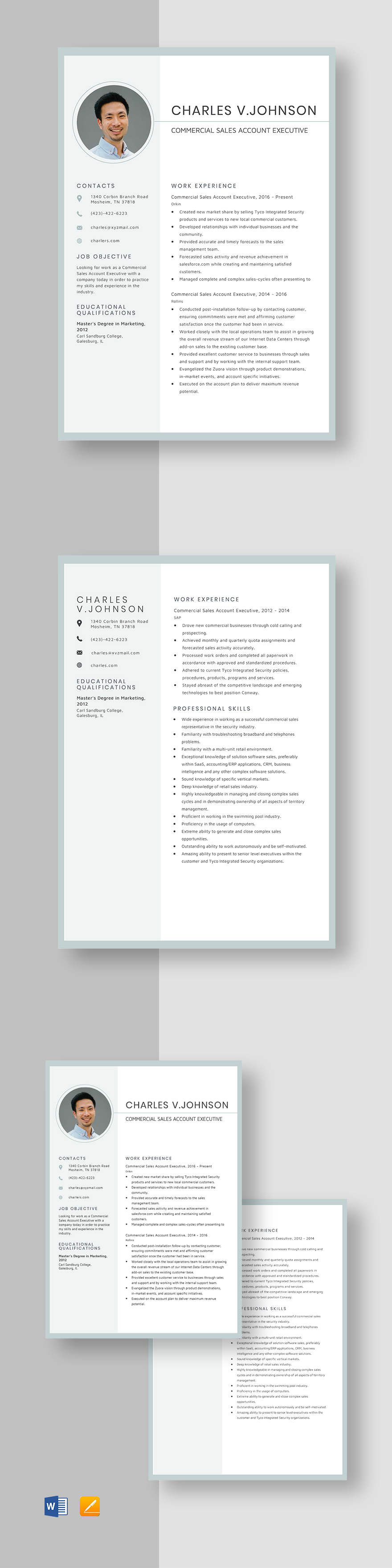 advertising-executive-resume-template-word-apple-pages-template