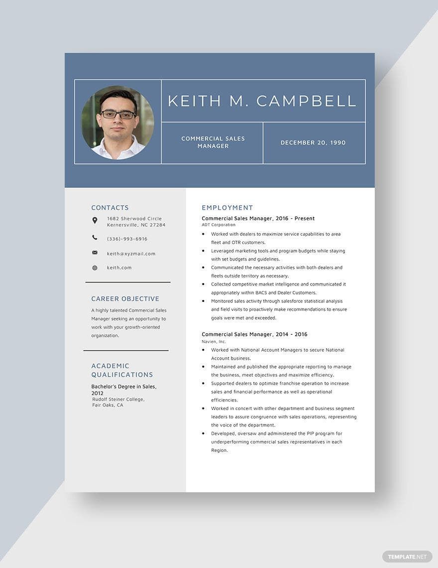 Commercial Sales Manager Resume