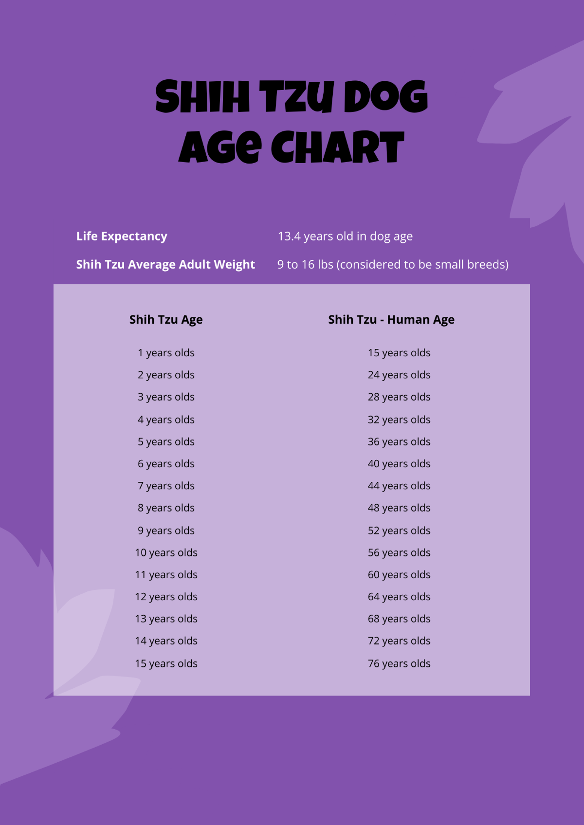 Shih Tzu Dog Age Chart Template