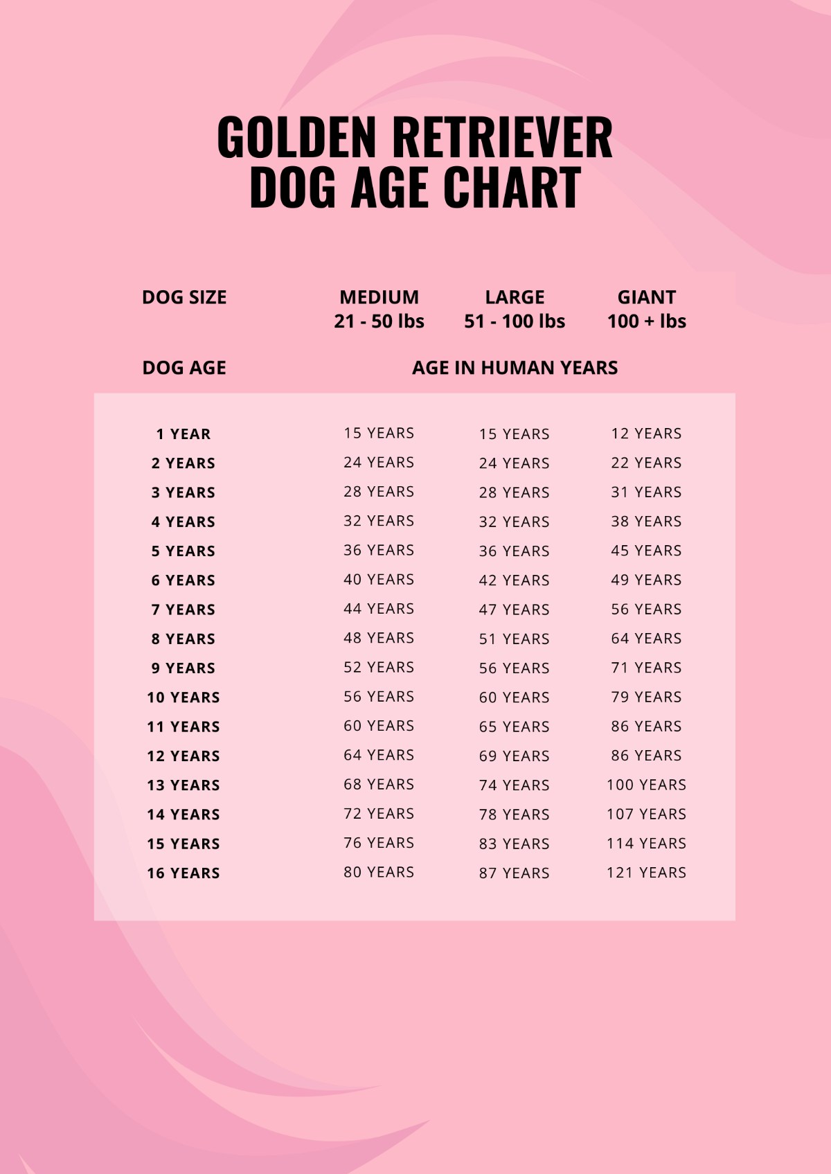Free Golden Retriever Dog Age Chart Template