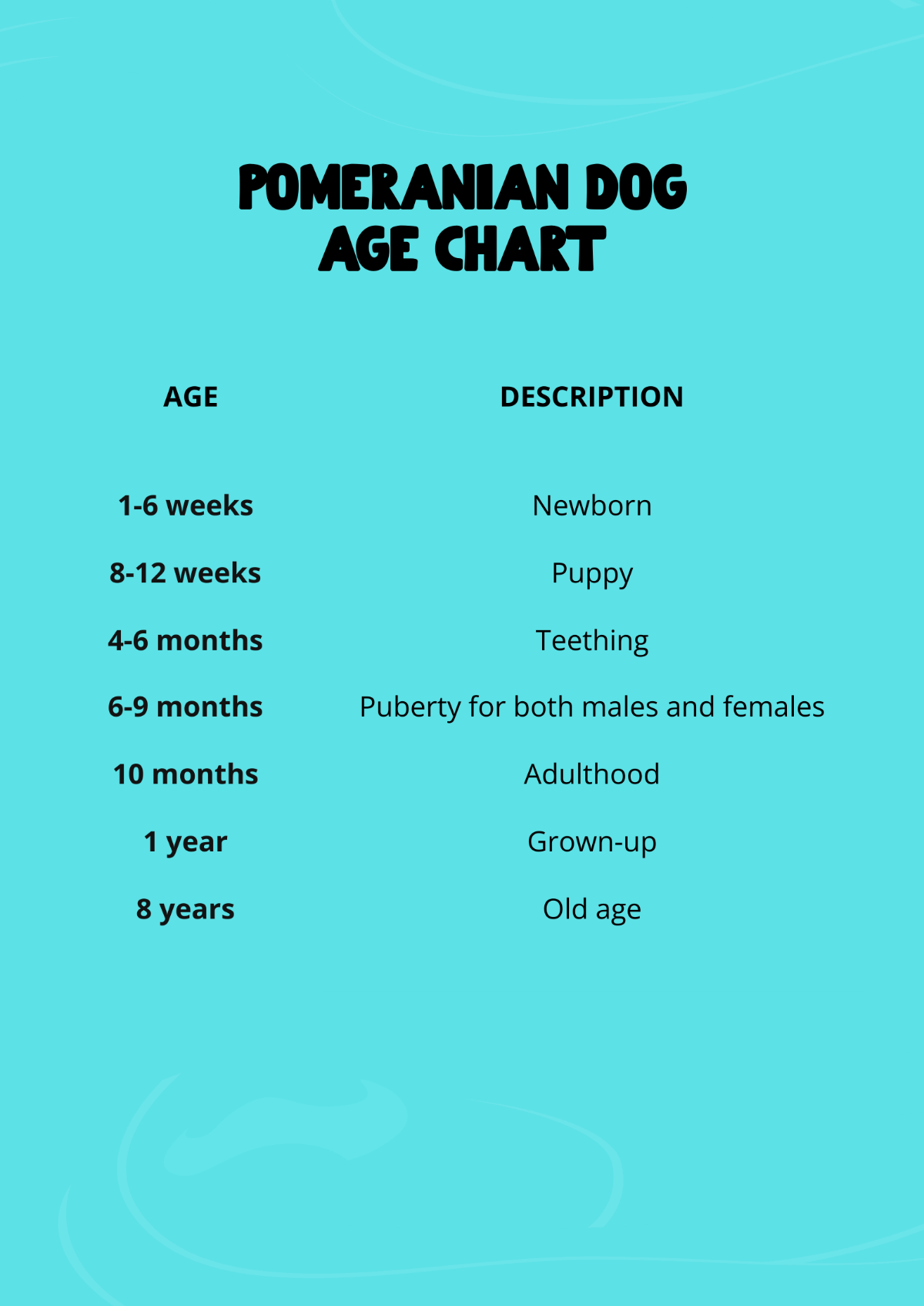 Pomeranian Dog Age Chart Template