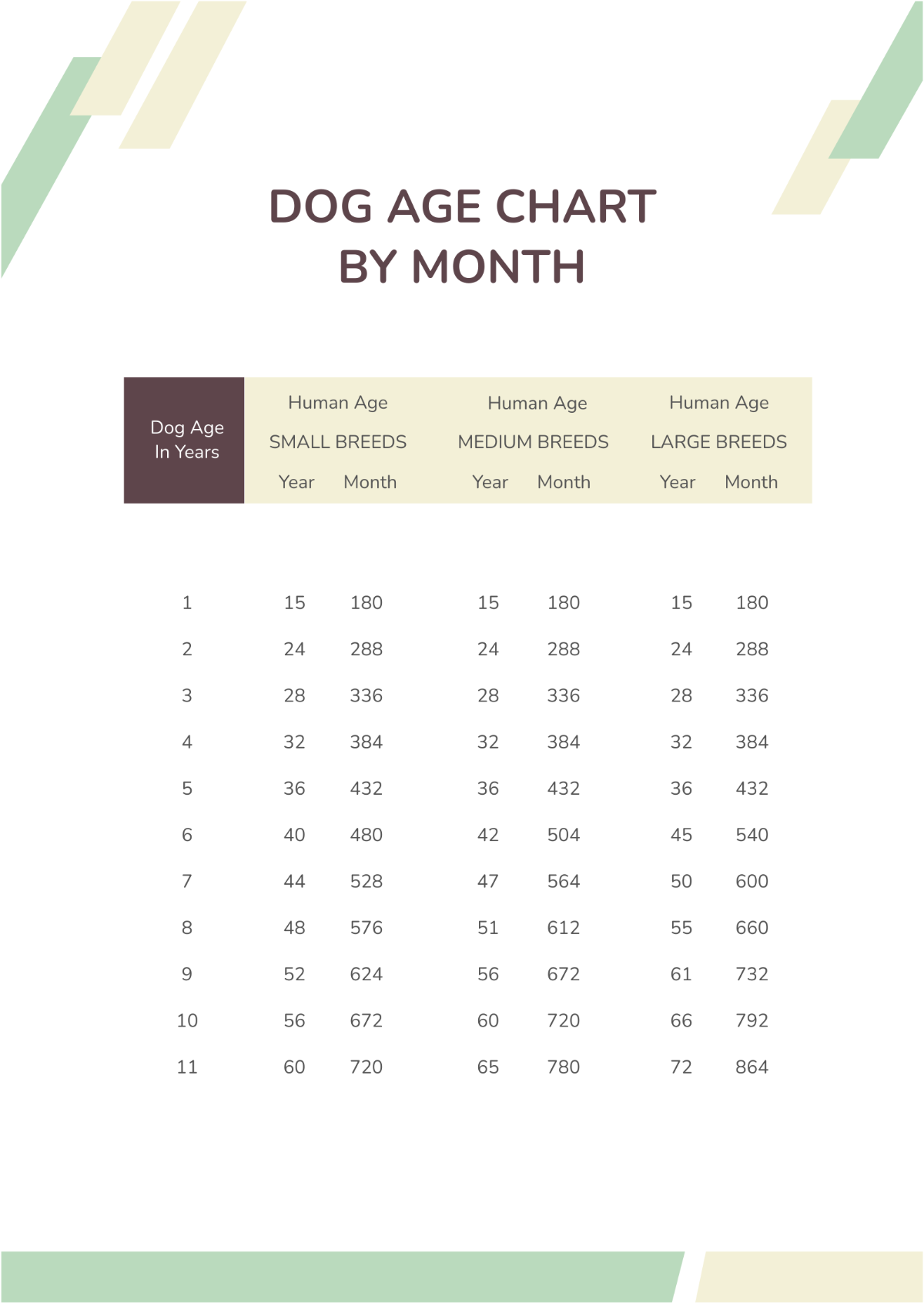 Free Dog Age Chart By Month Template
