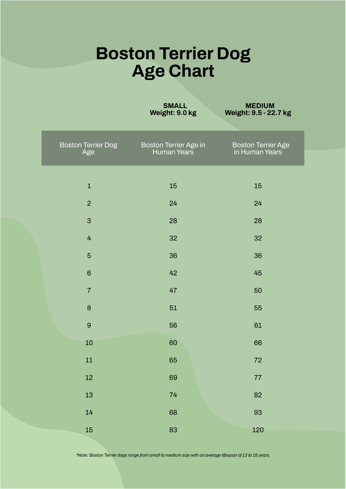 Free Boston Terrier Dog Age Chart Template