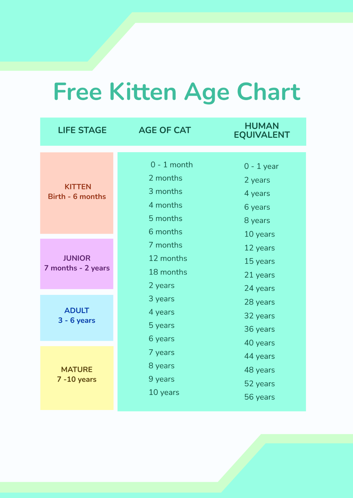 Free Kitten Age Chart Template