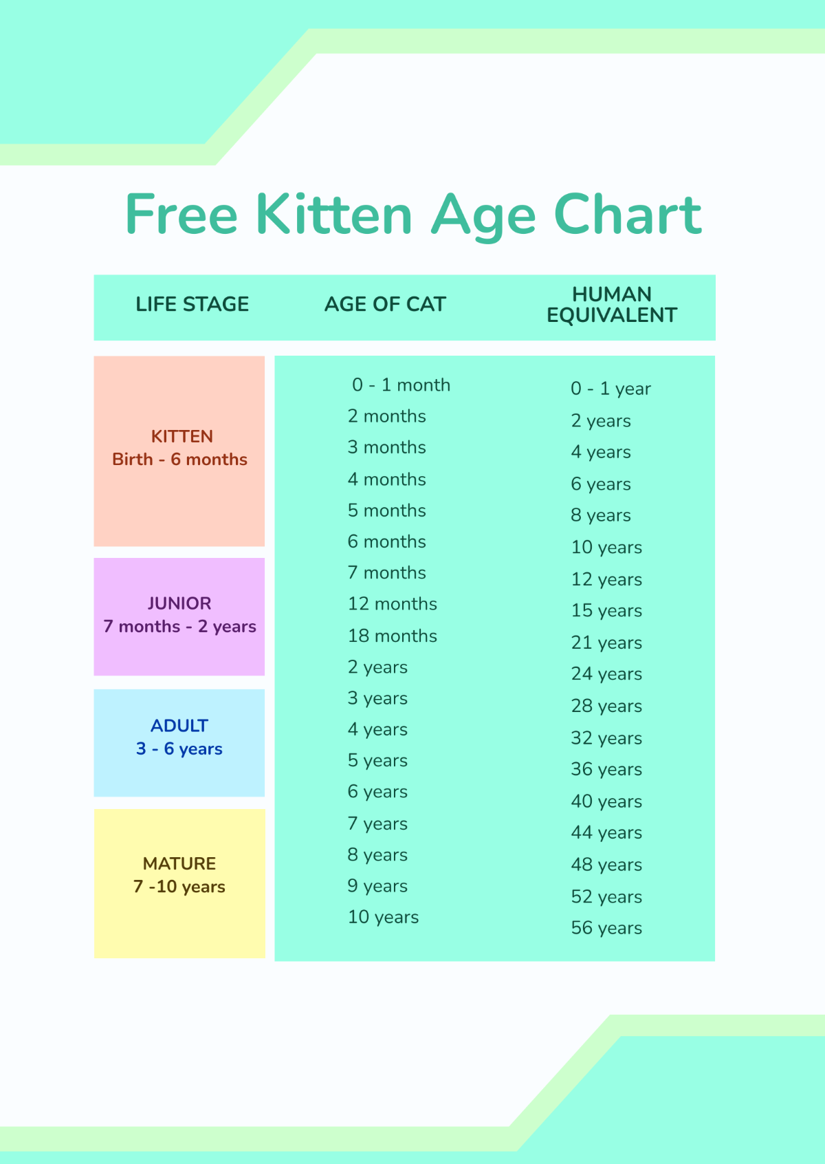 Kitten Age Chart