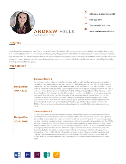 Sales Executive Resume Template - InDesign, Word, Apple Pages, PSD, Publisher