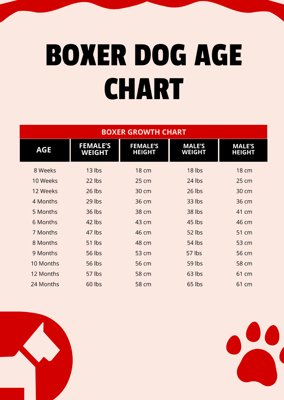 Free Boxer Dog Age Chart Template