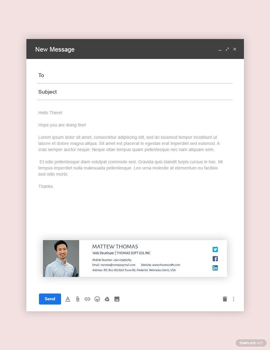 Web Developer Email Signature Template in PSD, Outlook, HTML5