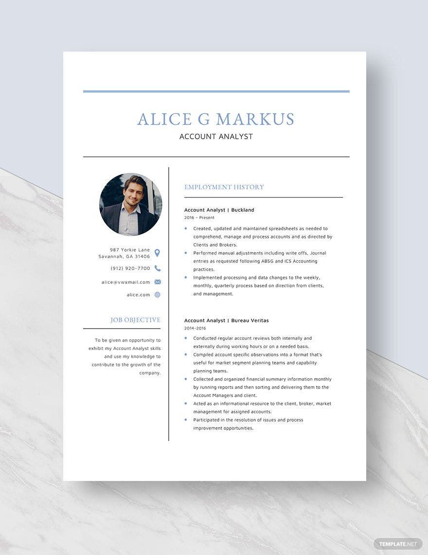Free Account Analyst Resume Template