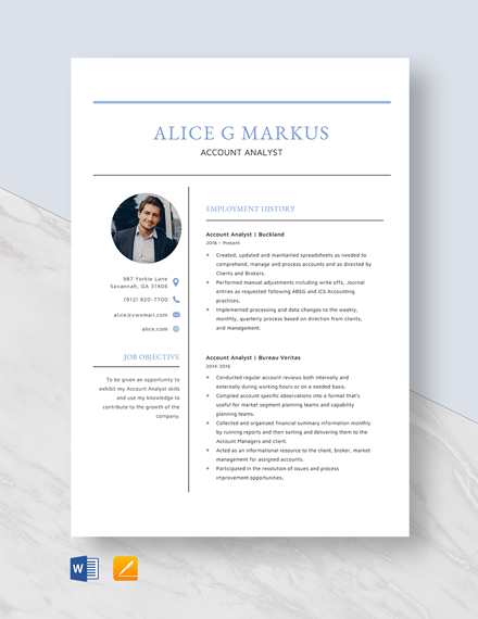 Free Account Analyst Resume Template - Word, Apple Pages