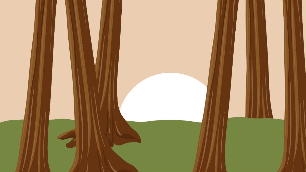 Redwood Forest Background Template