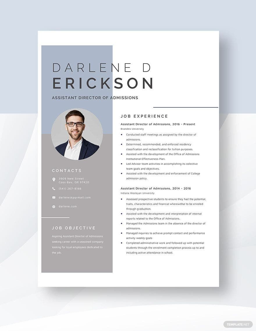 Assistant Director of Admissions Resume Template