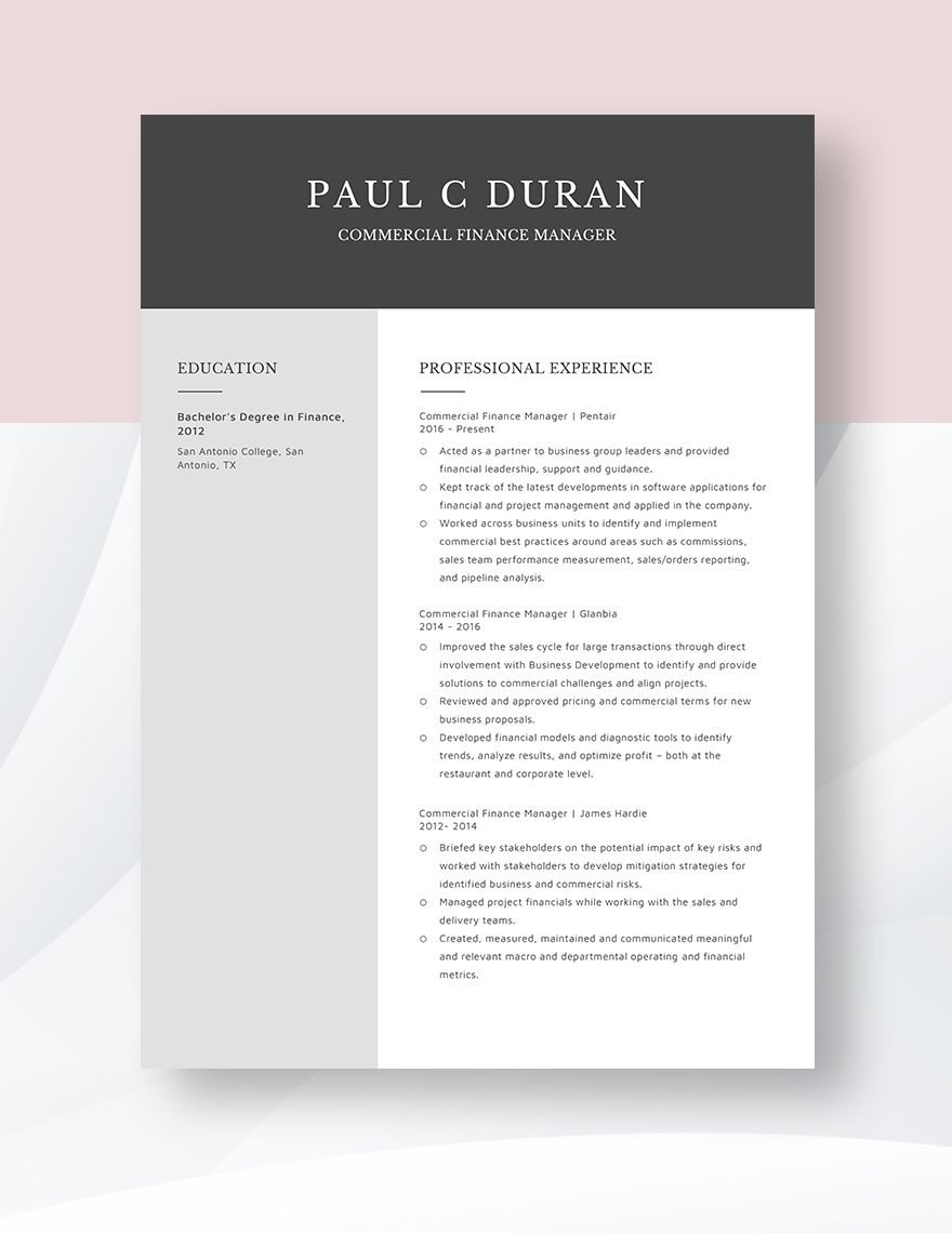 Commercial Finance Manager Resume in Word Pages PDF Download