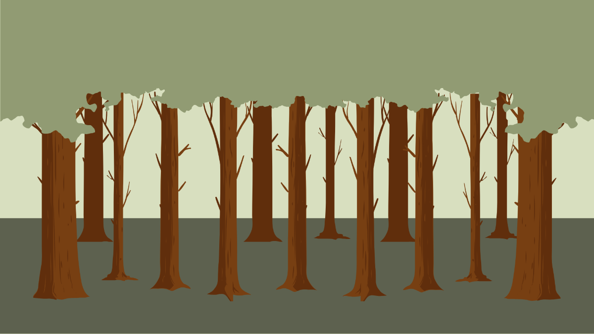 Wooded Forest Background Template