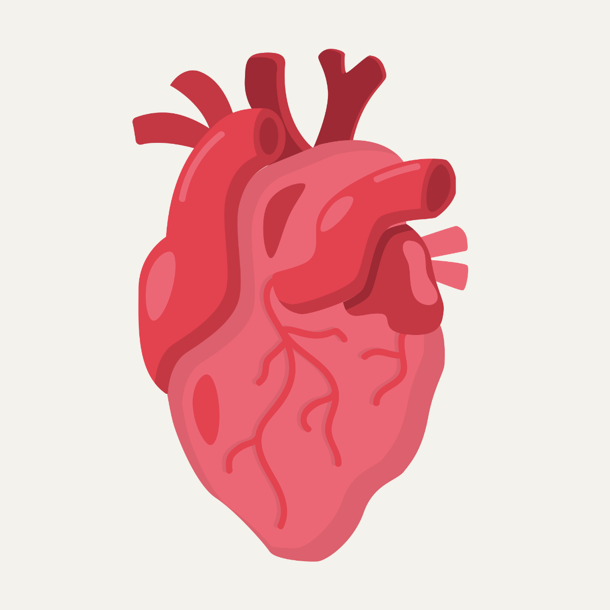 Human Heart Vector Template