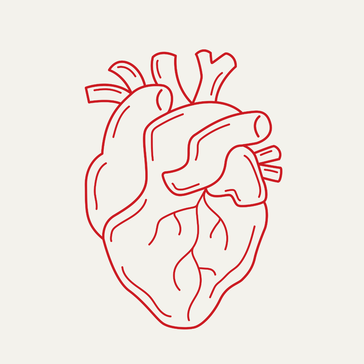 Real Heart Outline Vector Template