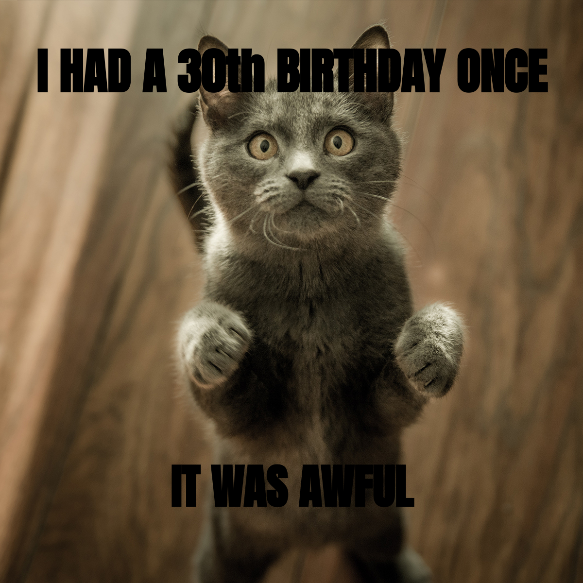 Happy 30th Birthday Meme Template