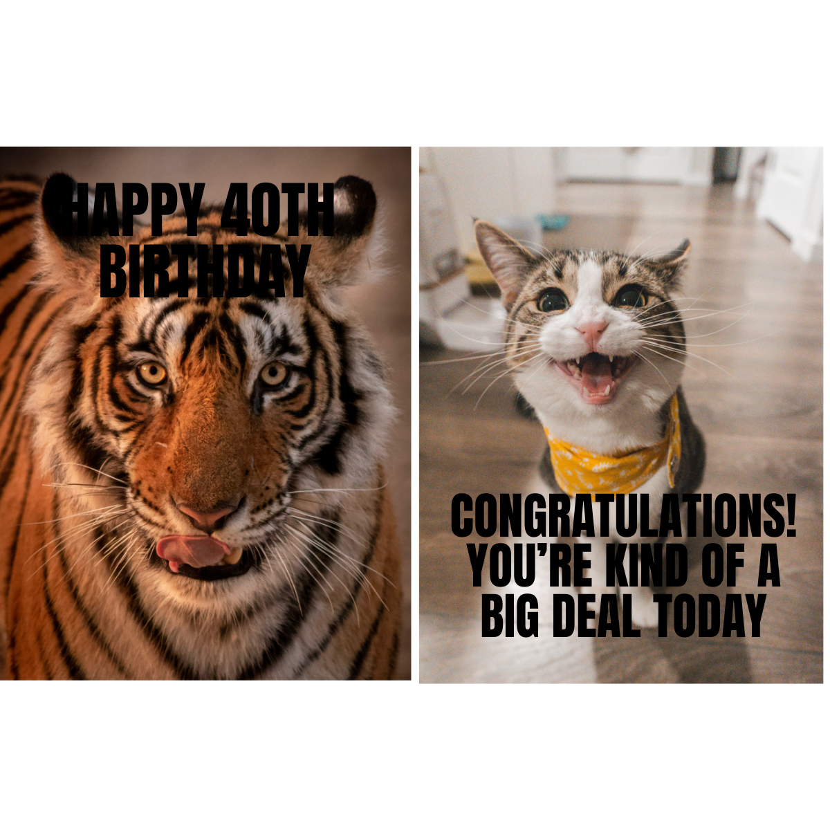 Free Happy 40th Birthday Meme Template