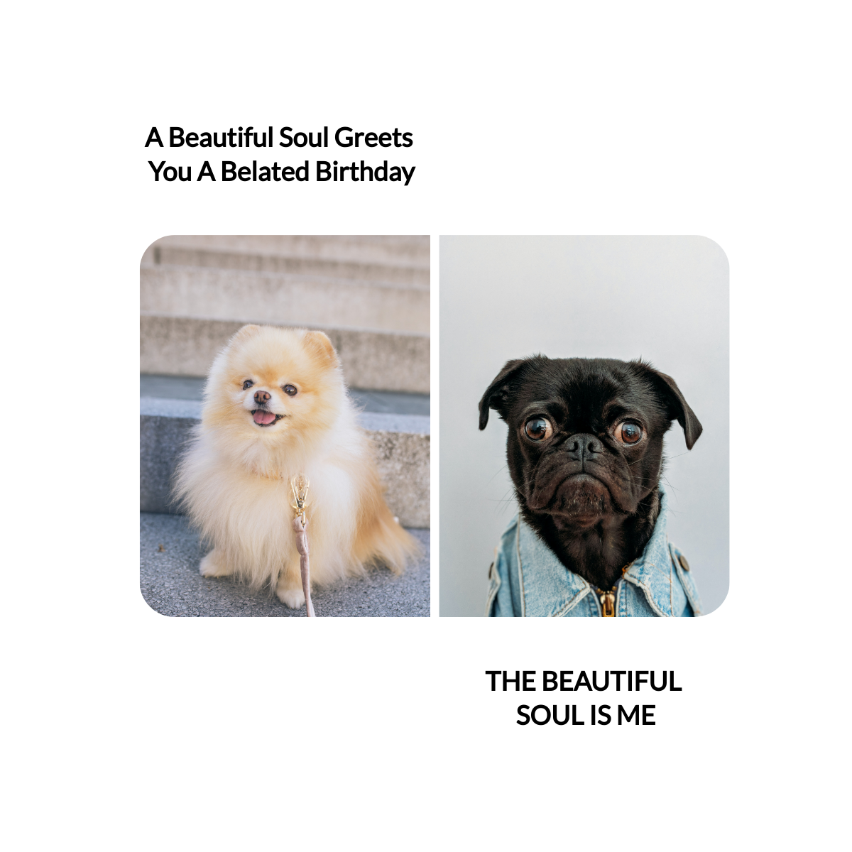 Happy Belated Birthday Meme Template