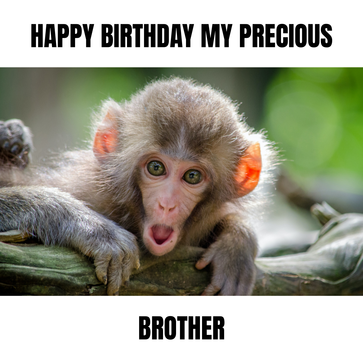 Free Happy Birthday Brother Meme Template