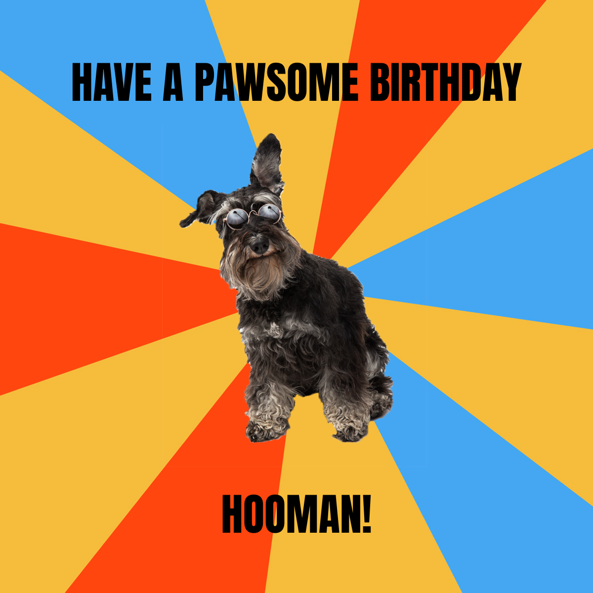 Free Happy Birthday Dog Meme Template