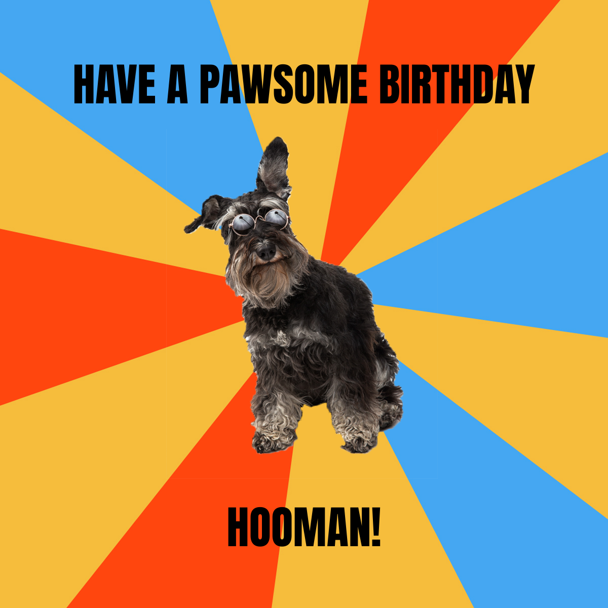 Happy Birthday Dog Meme Template - Edit Online & Download