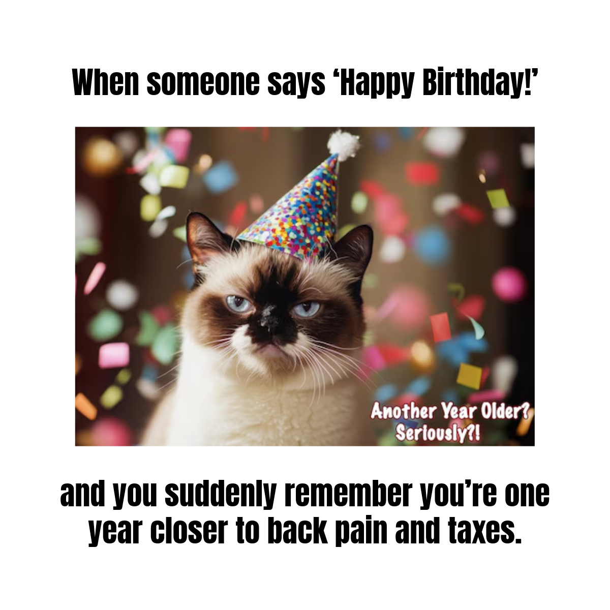 Free Happy Birthday Meme Template to Edit Online