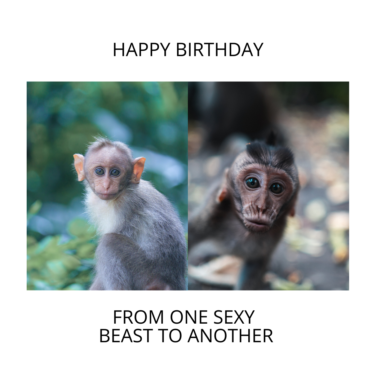 Free Happy Birthday Meme For Him Template