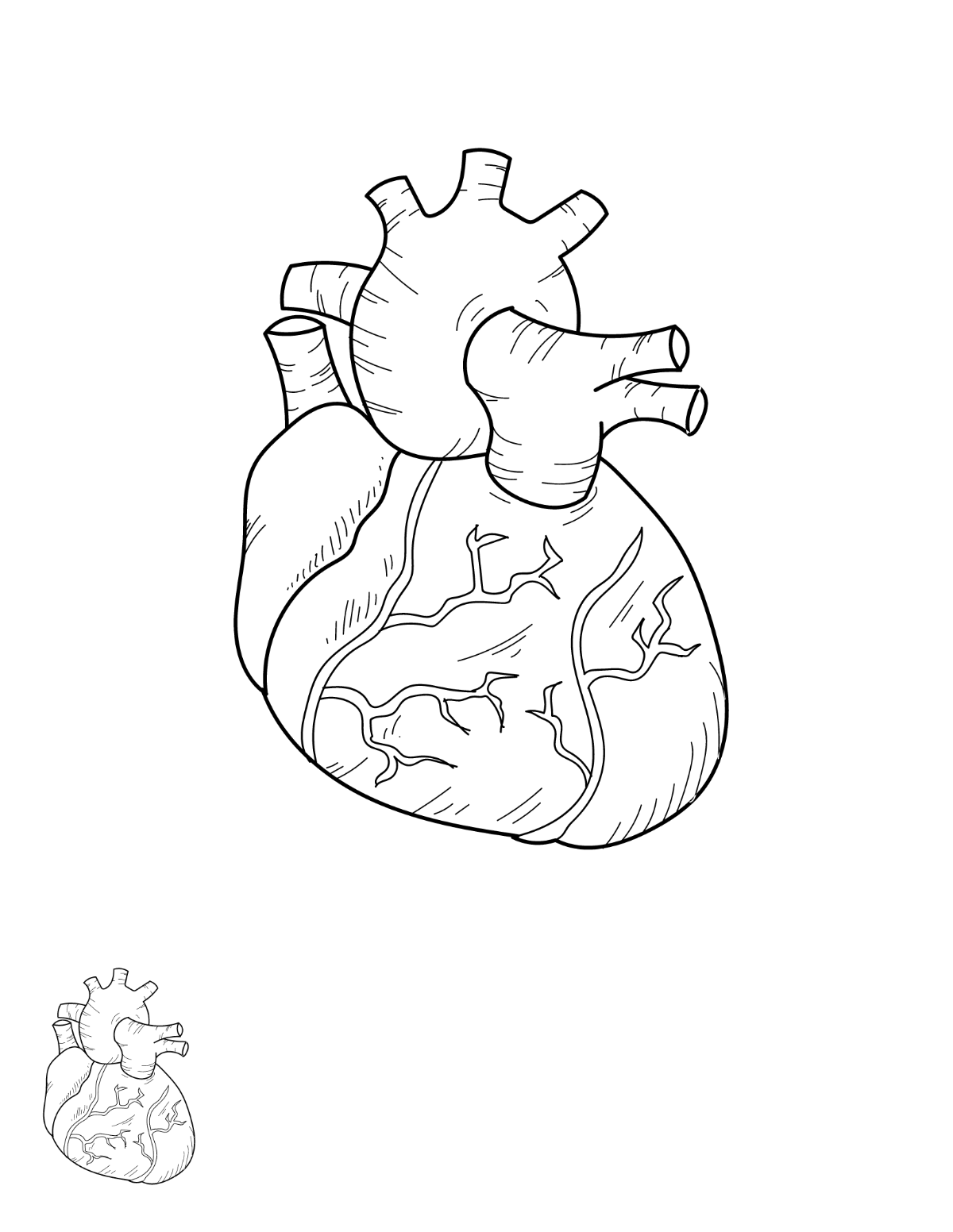 Human Heart Coloring Page Template