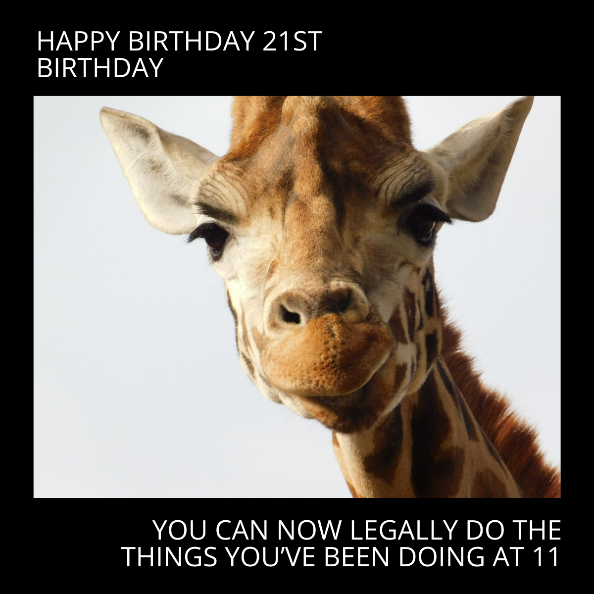 Free Happy 21st Birthday Meme Template