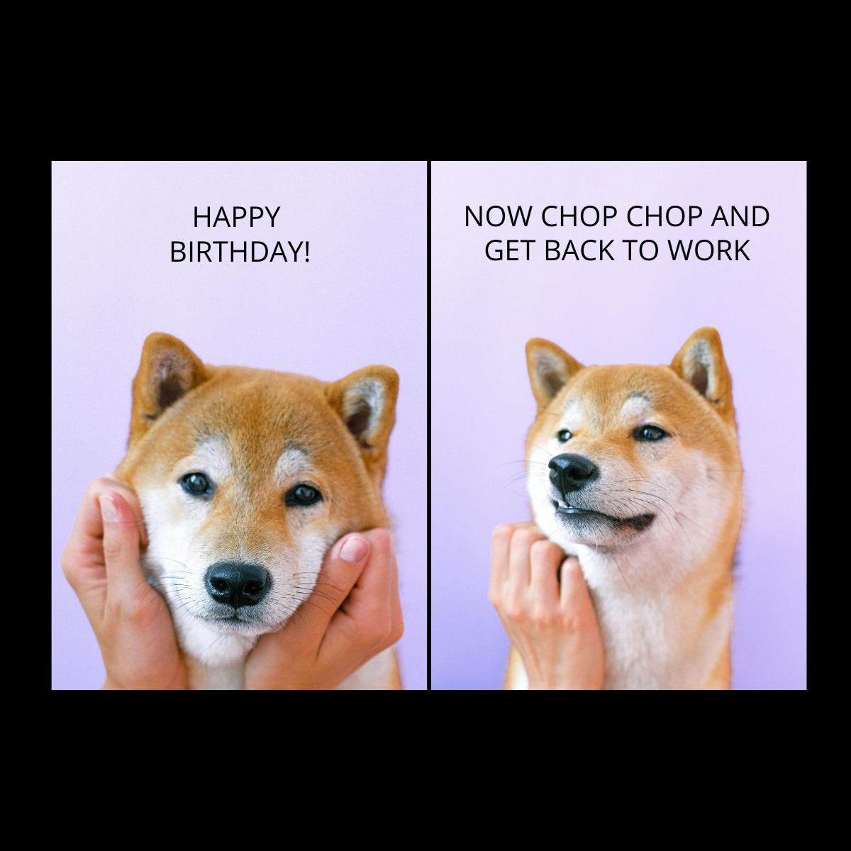 Free Happy Birthday Coworker Meme