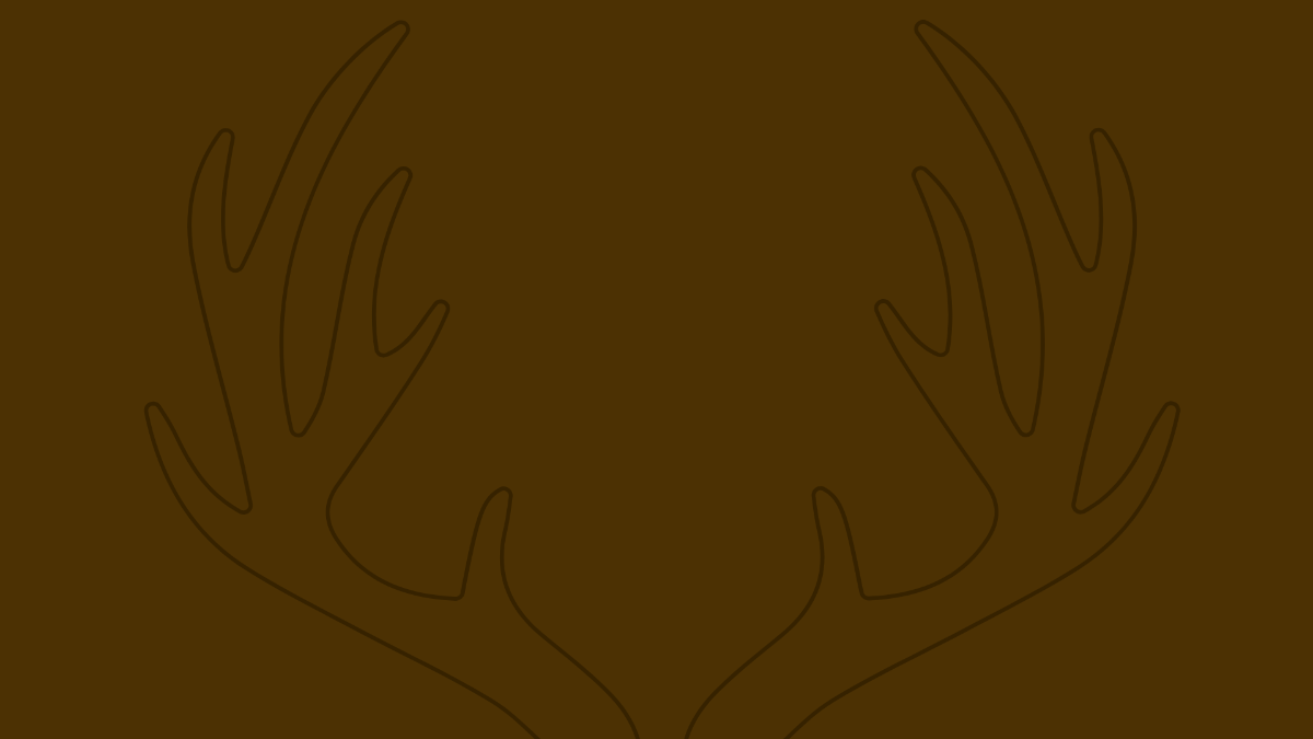 Solid Brown Background Template