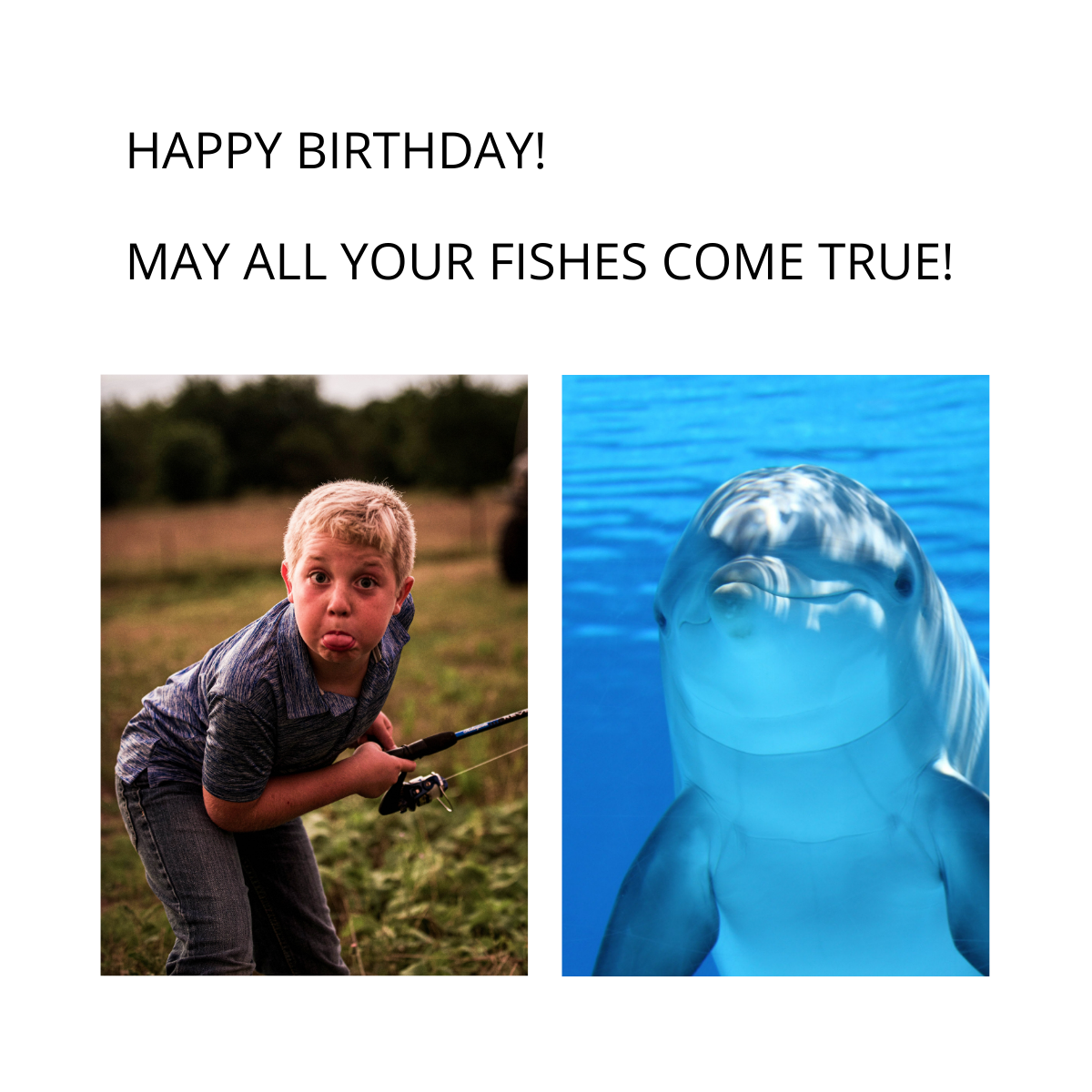 Free Happy Birthday Fishing Meme