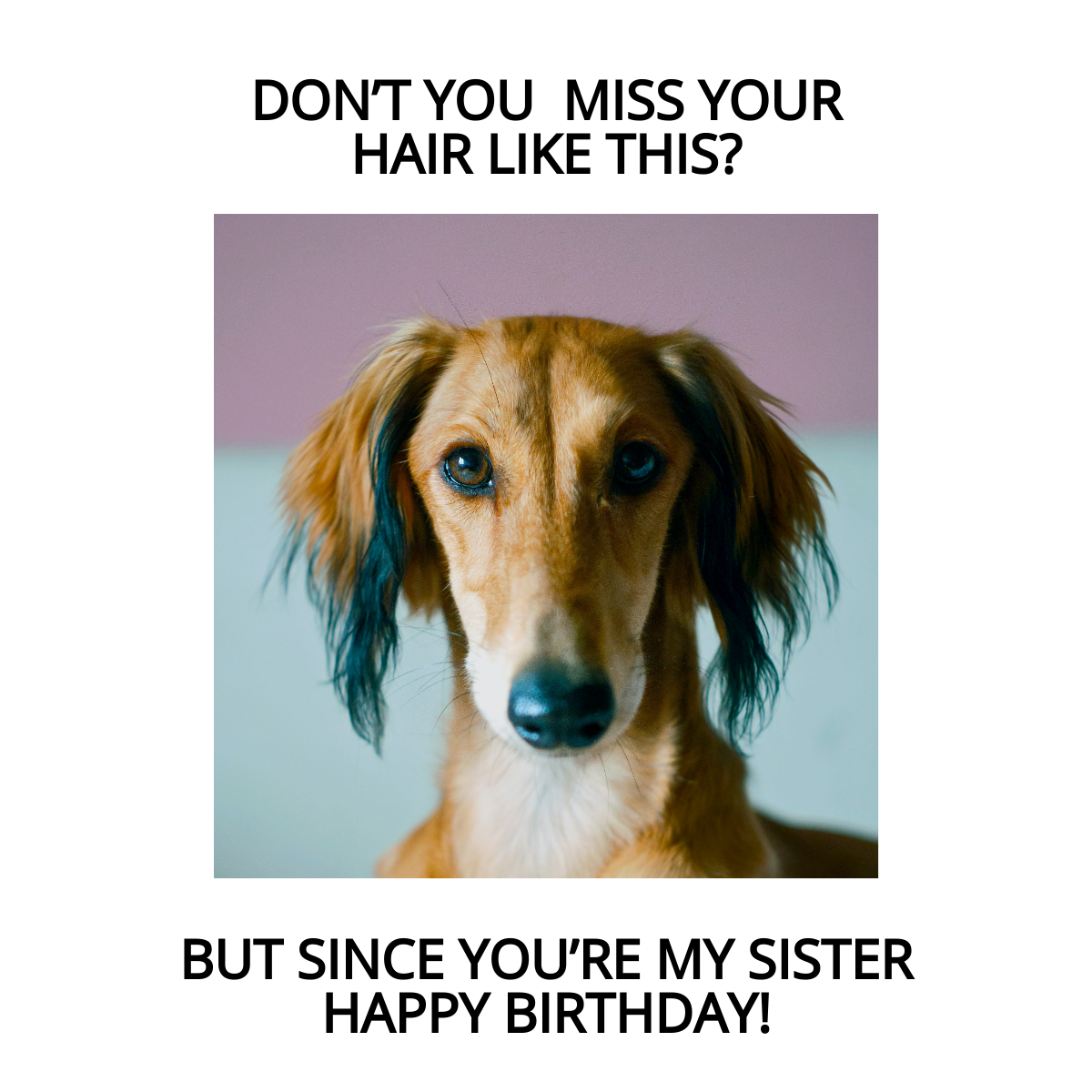 Free Happy Birthday Sister Funny Meme