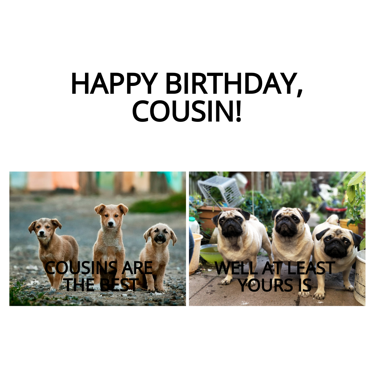 Free Happy Birthday Cousin Meme