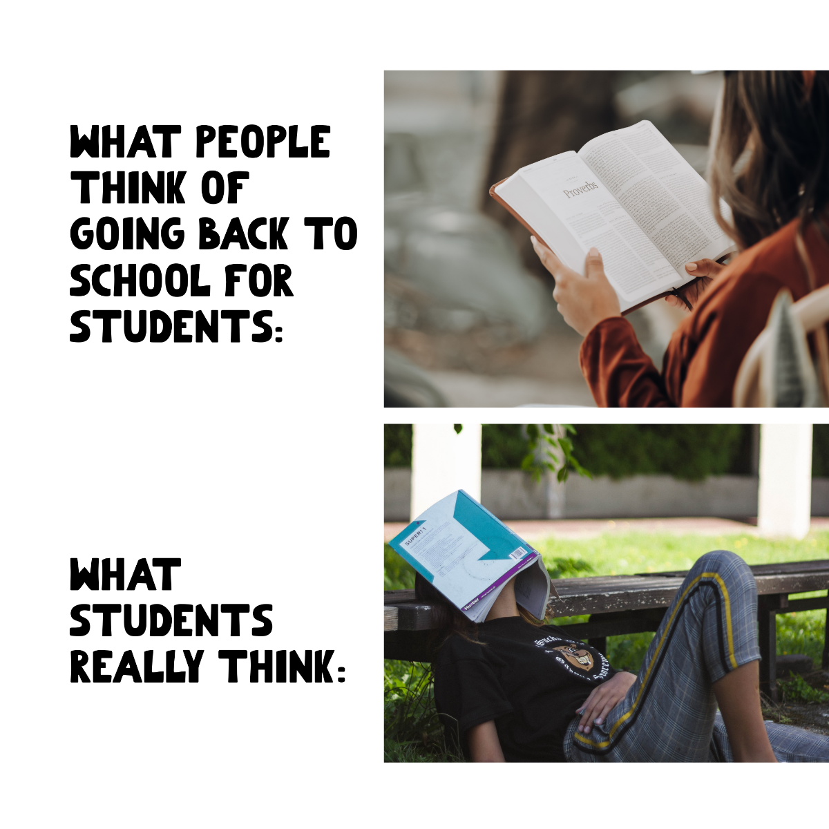 Free Back To School Meme For Student