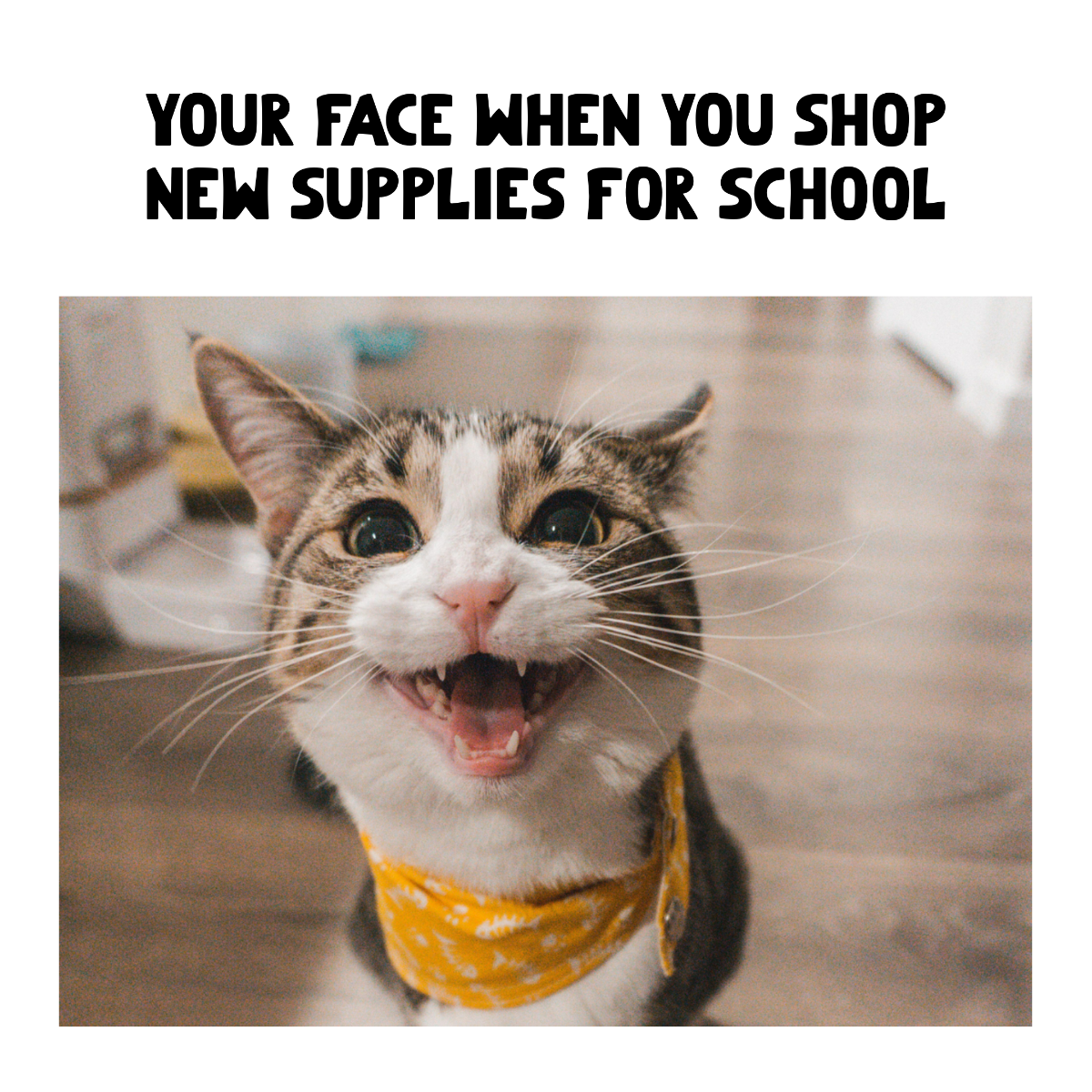 Back To School Supplies Meme Template
