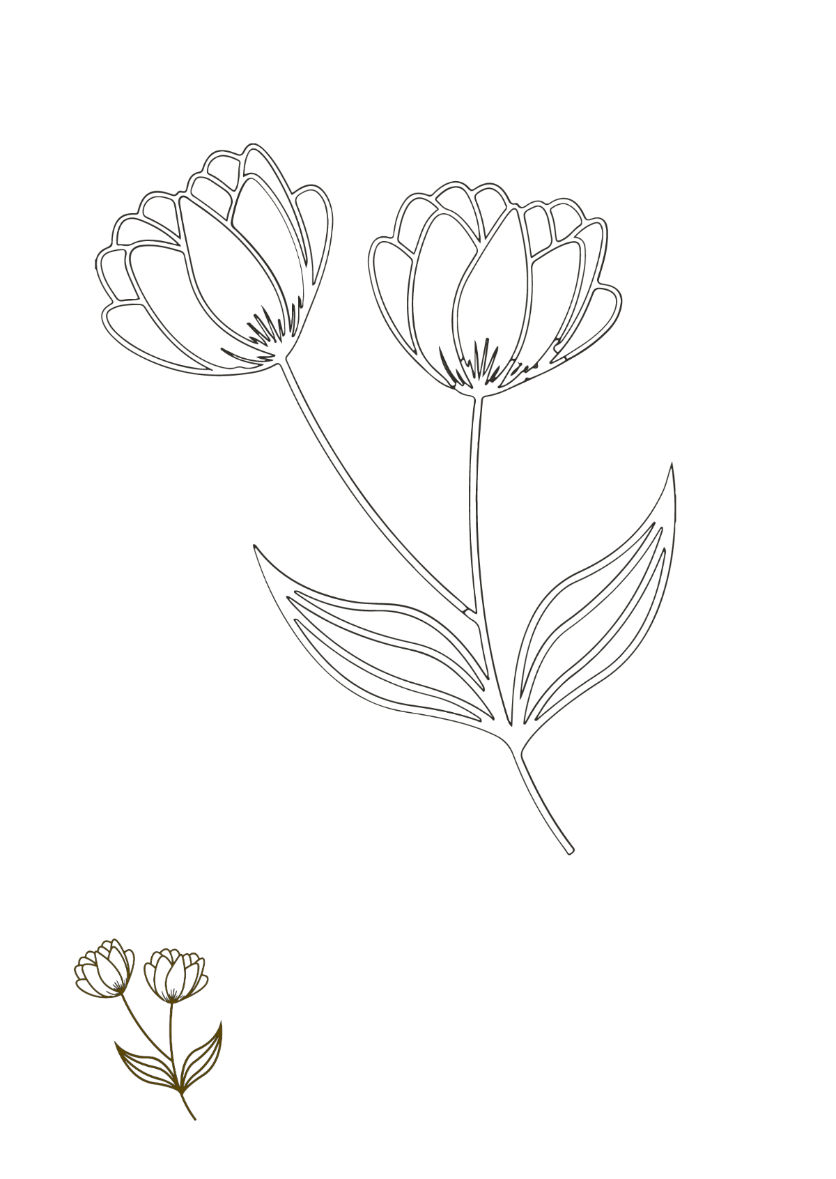 Floral Outline Coloring Page Template