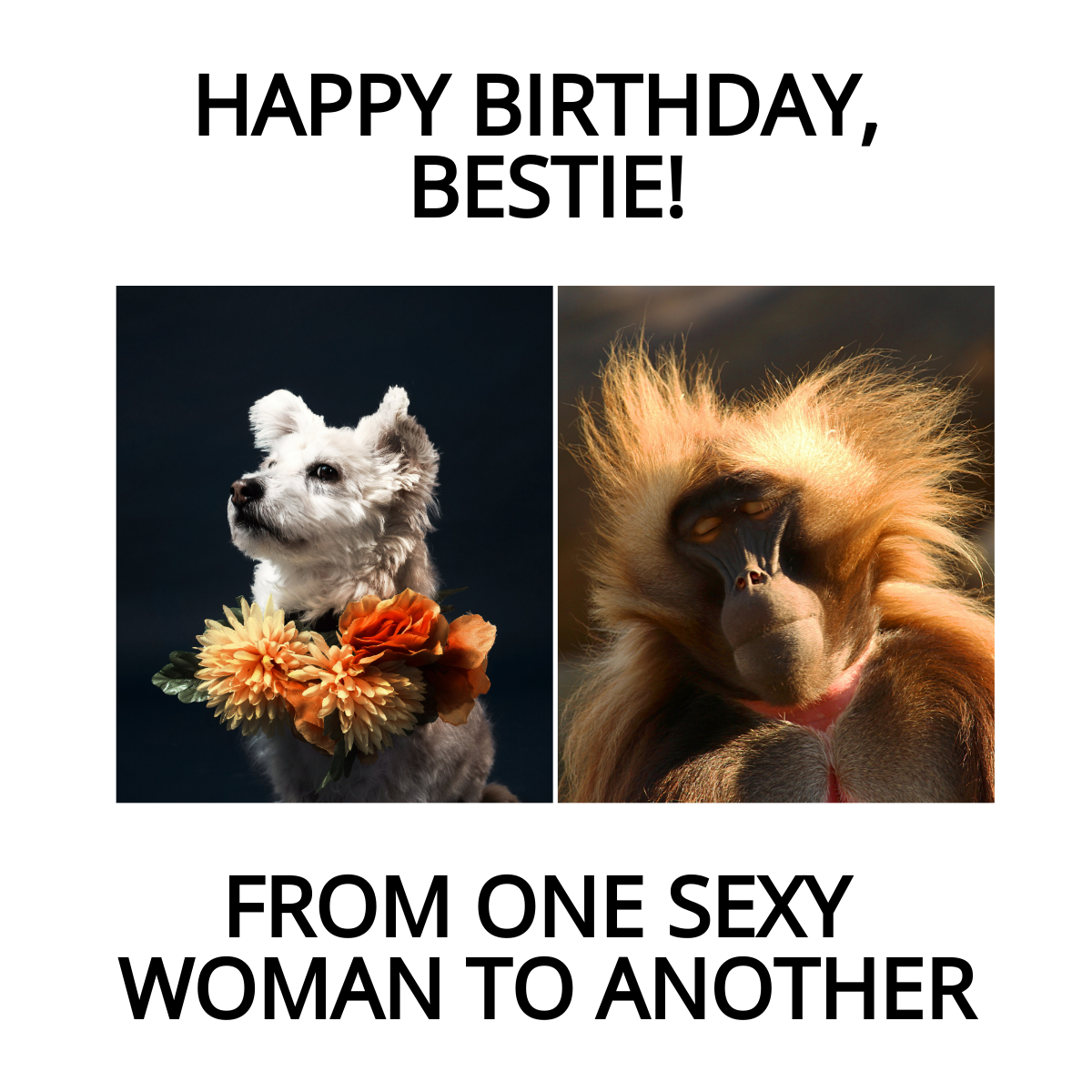 Free Happy Birthday Bestie Meme